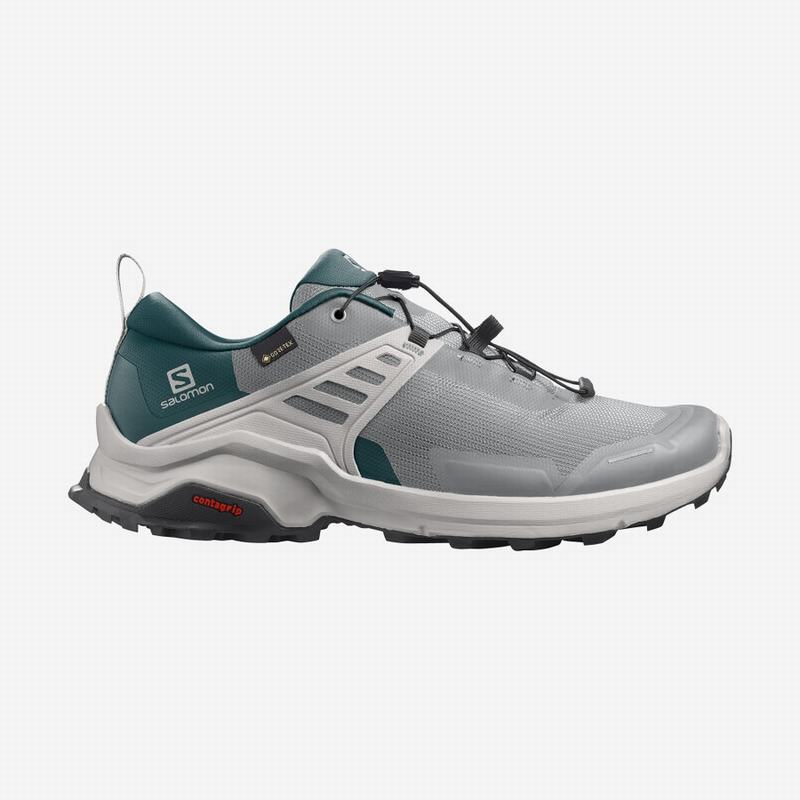 Salomon Singapore Mens Hiking Shoes - X RAISE GORE-TEX Deep Grey/Turquoise | 60125-IZJY